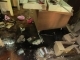 Water Damage Restoration in Hollywood Fl